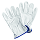 PACK 6 x Guantes cuero cabritilla sin forro