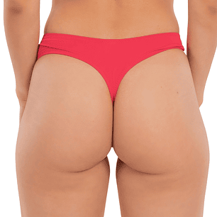 Tanga Colaless pretina bikini variedad colores