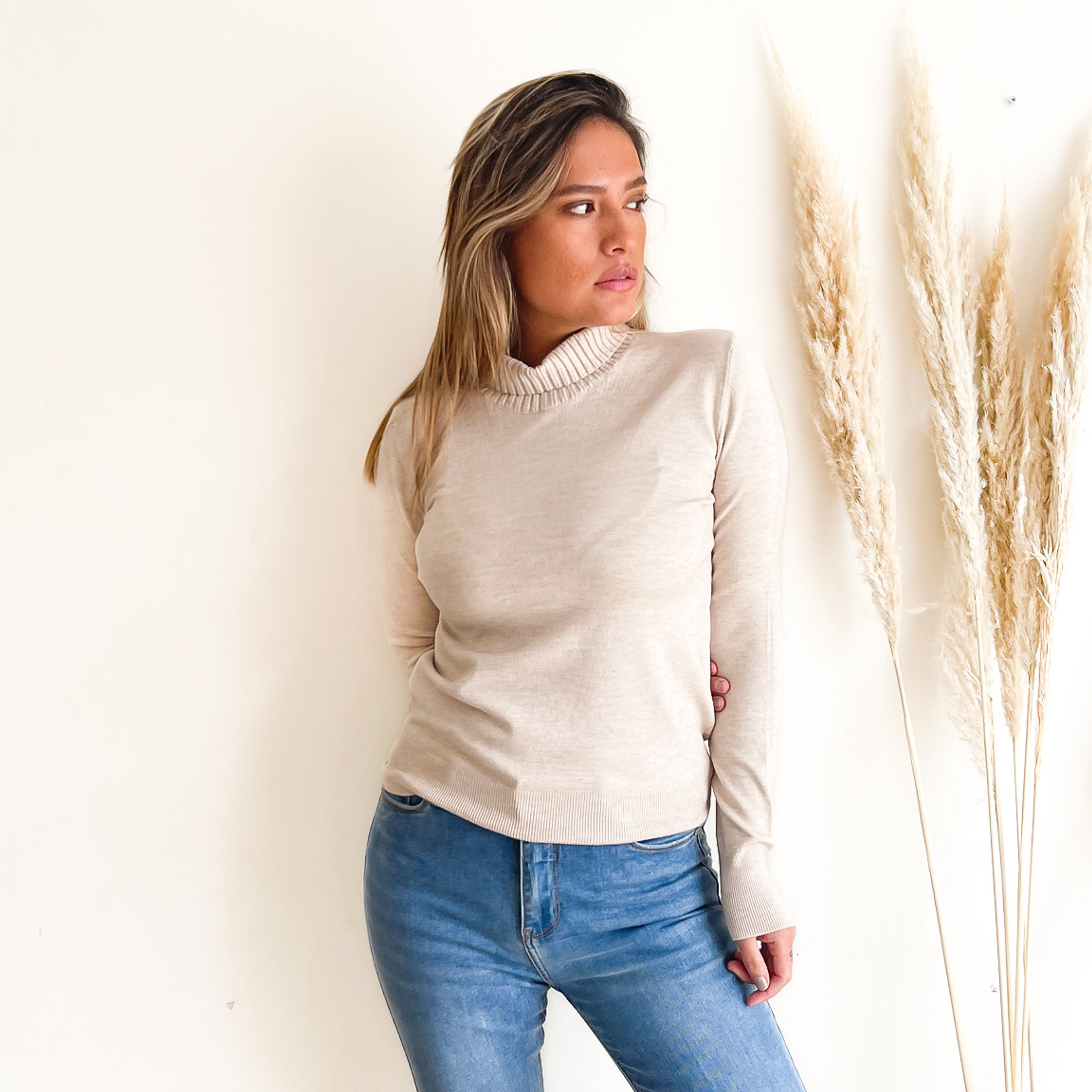 Sweater básico diseño Noa colores 2