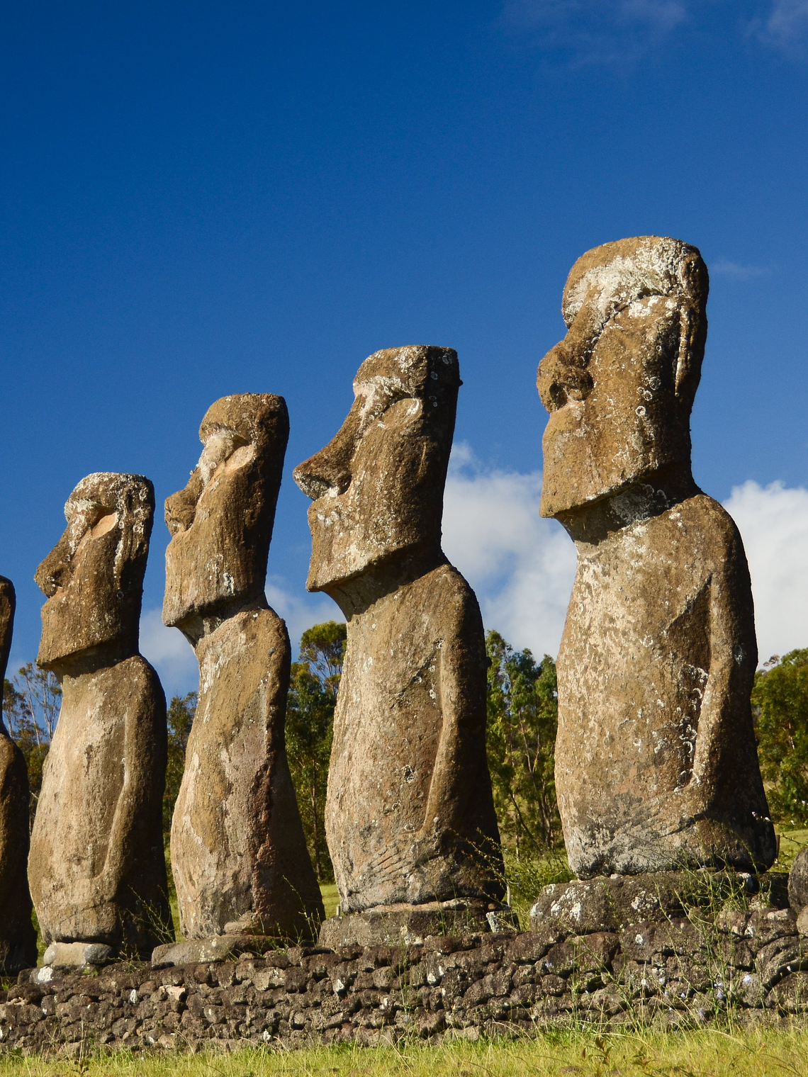 Half Day Explorer  1