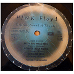 PINK FLOYD - DELICATE SOUND OF A THUNDER 2LP VINILO