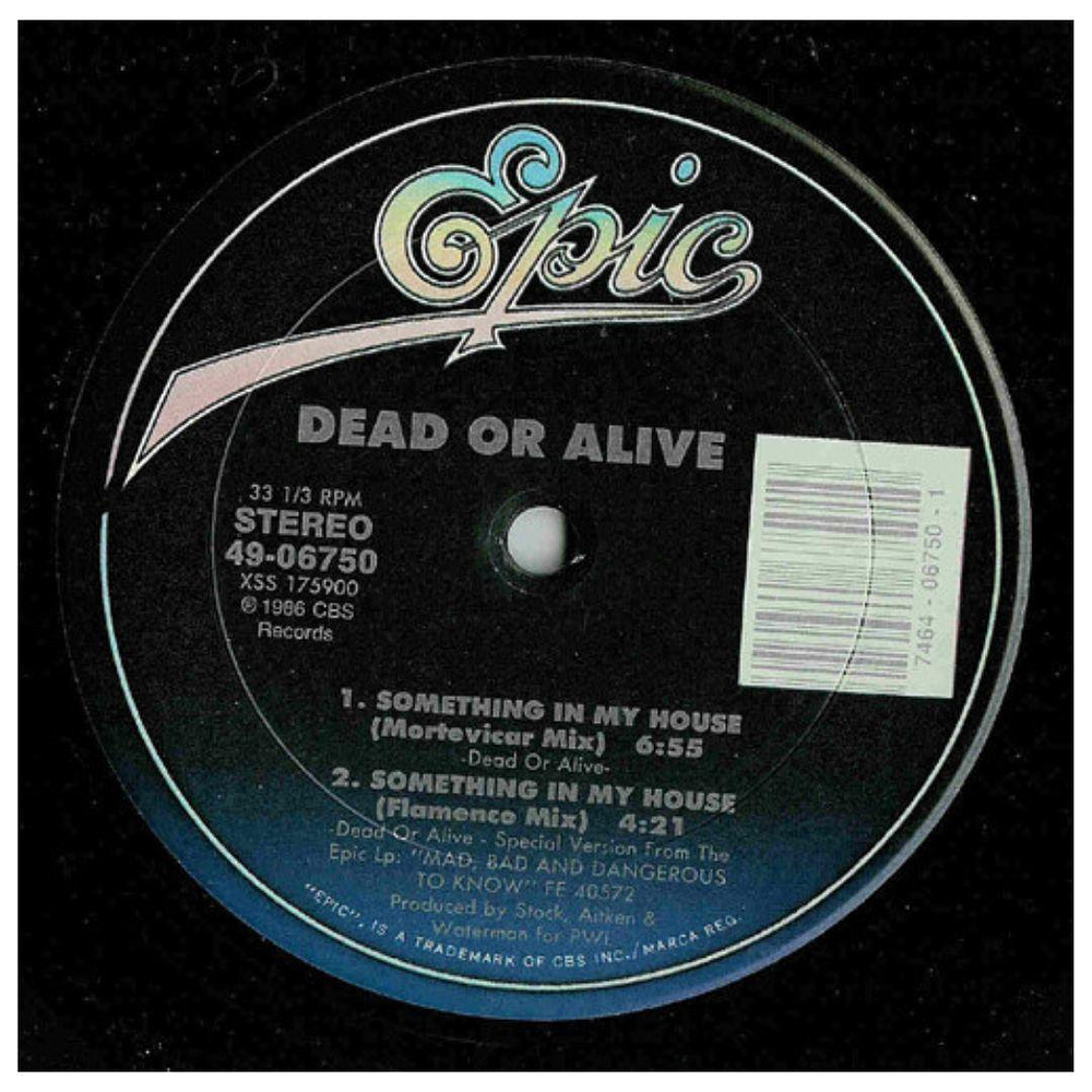 DEAD OR ALIVE - SOMETHING IN MY HOUSE | 12" MAXI SINGLE - VINILO