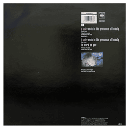 ALISON MOYET - WEAK IN THE PRESENCE OF BEAUTY | 12'' MAXI SINGLE USADO