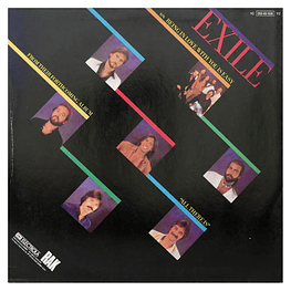 EXILE - HOW COULD THIS GO WRONG 12'' MAXI SINGLE VINILO USADO