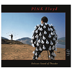 PINK FLOYD - DELICATE SOUND OF THUNDER (2CD) | CD