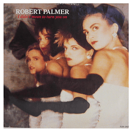 ROBERT PALMER - I DIDN'T MEAN TO TURN YOU ON 12'' MAXI SINGLE VINILO USADO