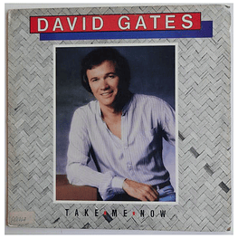 DAVID GATES - TAKE ME NOW | VINILO USADO