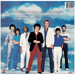 AIR SUPPLY - THE ONE THAT YOU LOVE | VINILO USADO