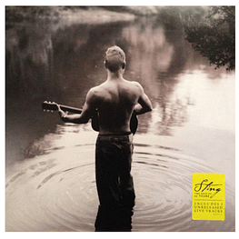 STING - THE BEST OF 25 YEARS (2LP) | VINILO