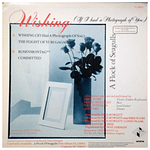 A FLOCK OF SEAGULLS  -  WISHING  | 12'' MAXI SINGLE USADO