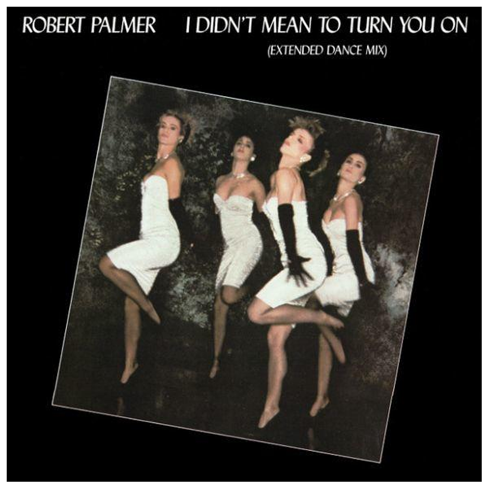 ROBERT PALMER - I DIDN'T MEAN TO TURN YOU ON | 12'' MAXI SINGLE USADO