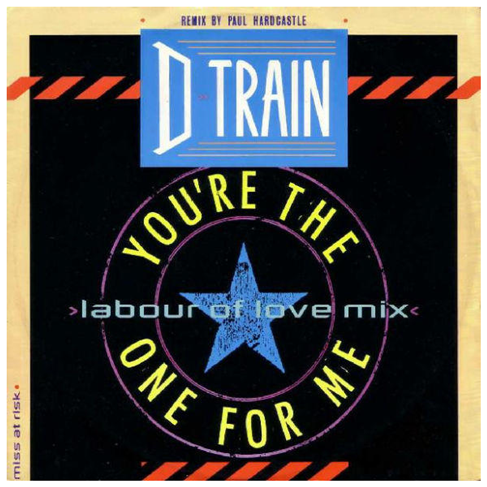 D TRAIN  - YOU'RE THE ONE FOR ME (PAUL HARDCASTLE REMIX) | 12'' MAXI SINGLE USADO