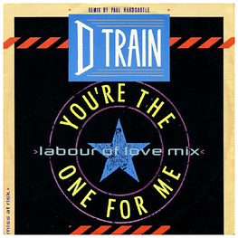D TRAIN  - YOU'RE THE ONE FOR ME (PAUL HARDCASTLE REMIX) | 12'' MAXI SINGLE - VINILO USADO