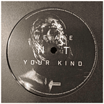 SLIPKNOT - WE ARE NOT YOUR KIND | VINILO