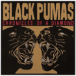 BLACK PUMAS - CHRONICLES OF A DIAMOND (CLEAR VINYL) | VINILO