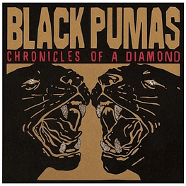 BLACK PUMAS - CHRONICLES OF A DIAMOND (CLEAR VINYL) | VINILO