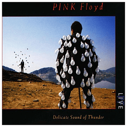 PINK FLOYD - DELICATE SOUND OF THUNDER (2CD) | CD