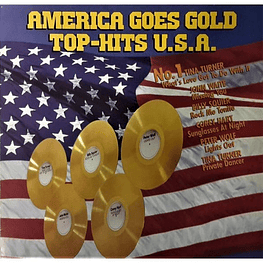 AMERICA GOES GOLD - TOP-HITS USA | VINILO USADO