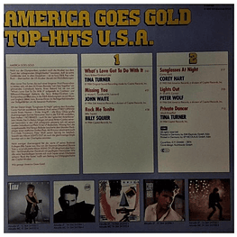 AMERICA GOES GOLD - TOP-HITS USA | VINILO USADO