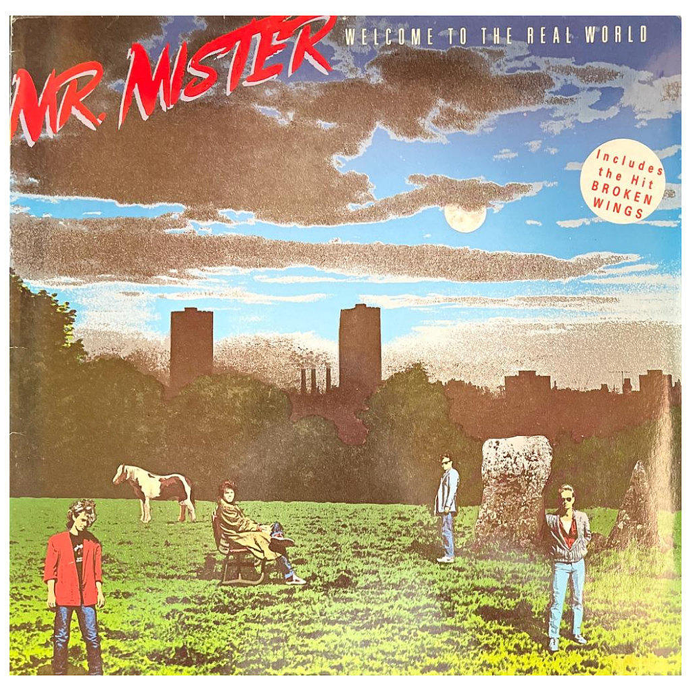 MR. MISTER - WELCOME TO THE REAL WORLD | VINILO USADO