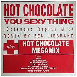 HOT CHOCOLATE - YOU SEXY THING (MEGAMIX) | 12'' MAXI SINGLE VINILO USADO
