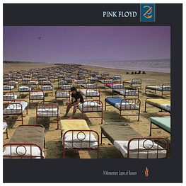 PINK FLOYD - A MOMENTARY LAPSE OF REASON | VINILO