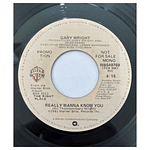 GARY WRIGHT - REALLY WANNA KNOW YOU | 7'' SINGLE VINILO USADO