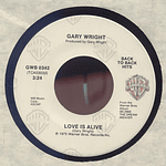 GARY WRIGHT - DREAM WEAVER/LOVE IS ALIVE | 7'' SINGLE VINILO USADO