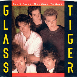 GLASS TIGER - DON'T FORGET ME (WHEN I'M GONE) | 7'' SINGLE VINILO USADO