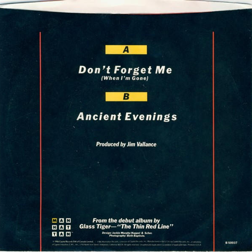 GLASS TIGER - DON'T FORGET ME (WHEN I'M GONE) | 7'' SINGLE VINILO USADO