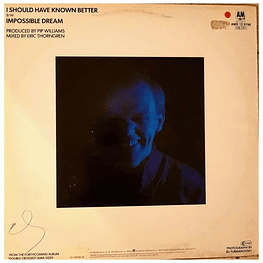 JIM DIAMOND - I SHOULD HAVE KNOWN BETTER | 12'' MAXI SINGLE USADO