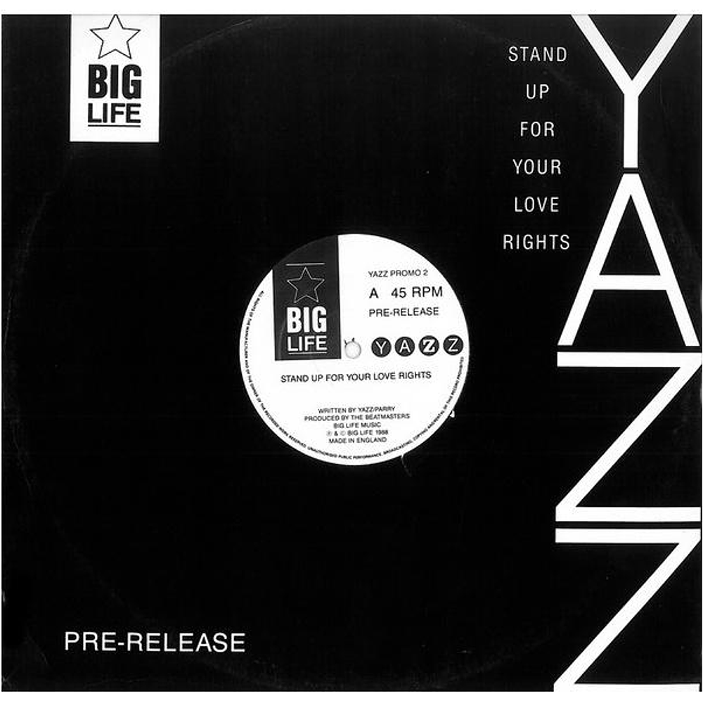 YAZZ - STAND UP FOR YOUR LOVE RIGHTS | 12'' MAXI SINGLE USADO