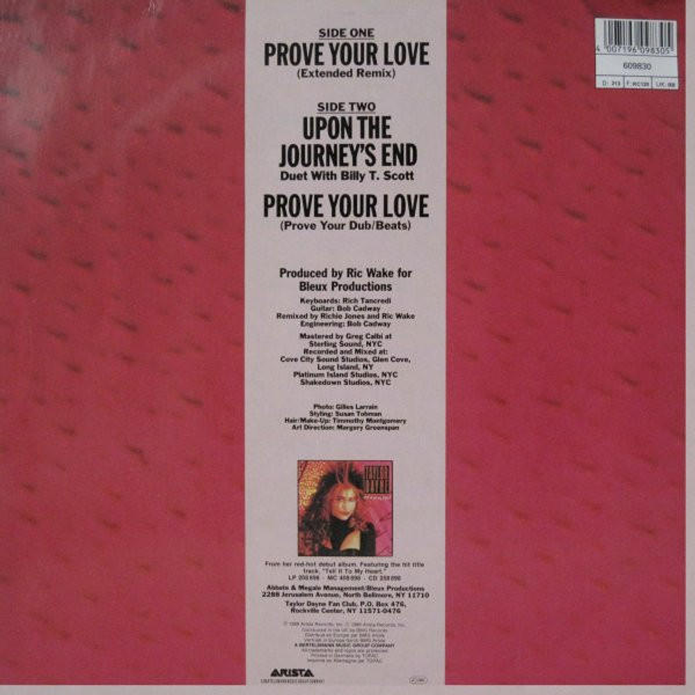 TAYLOR DAYNE - PROVE YOUR LOVE | 12'' MAXI SINGLE USADO