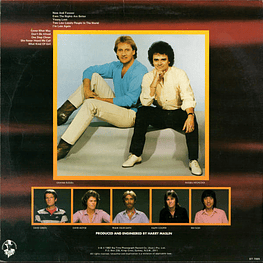 AIR SUPPLY - NOW AND FOREVER | VINILO