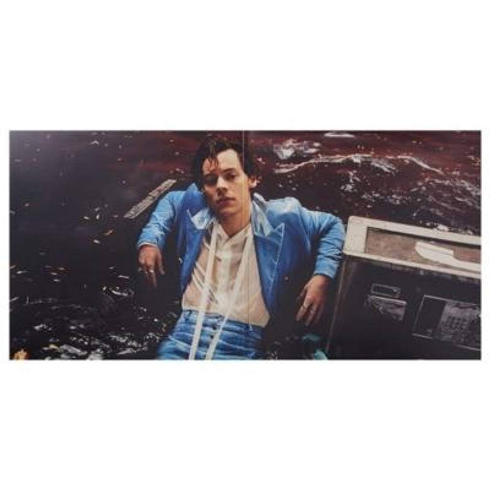 HARRY STYLES - HARRY STYLES | VINILO