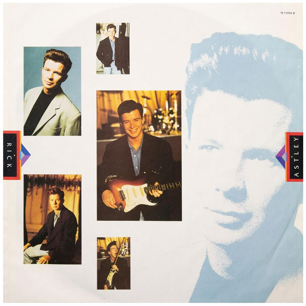 RICK ASTLEY  - HOLD ME IN YOUR ARMS | VINILO USADO