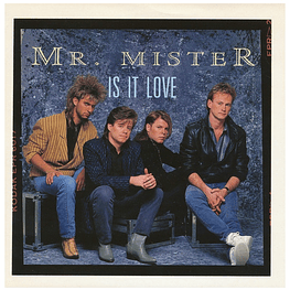 MR. MISTER - IS IT LOVE | 7" SINGLE USADO