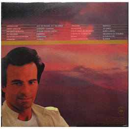 JULIO IGLESIAS - 24 EXITOS DE ORO (2LP) | VINILO USADO