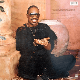 STEVIE WONDER - IN SQUARE CIRCLE | VINILO USADO