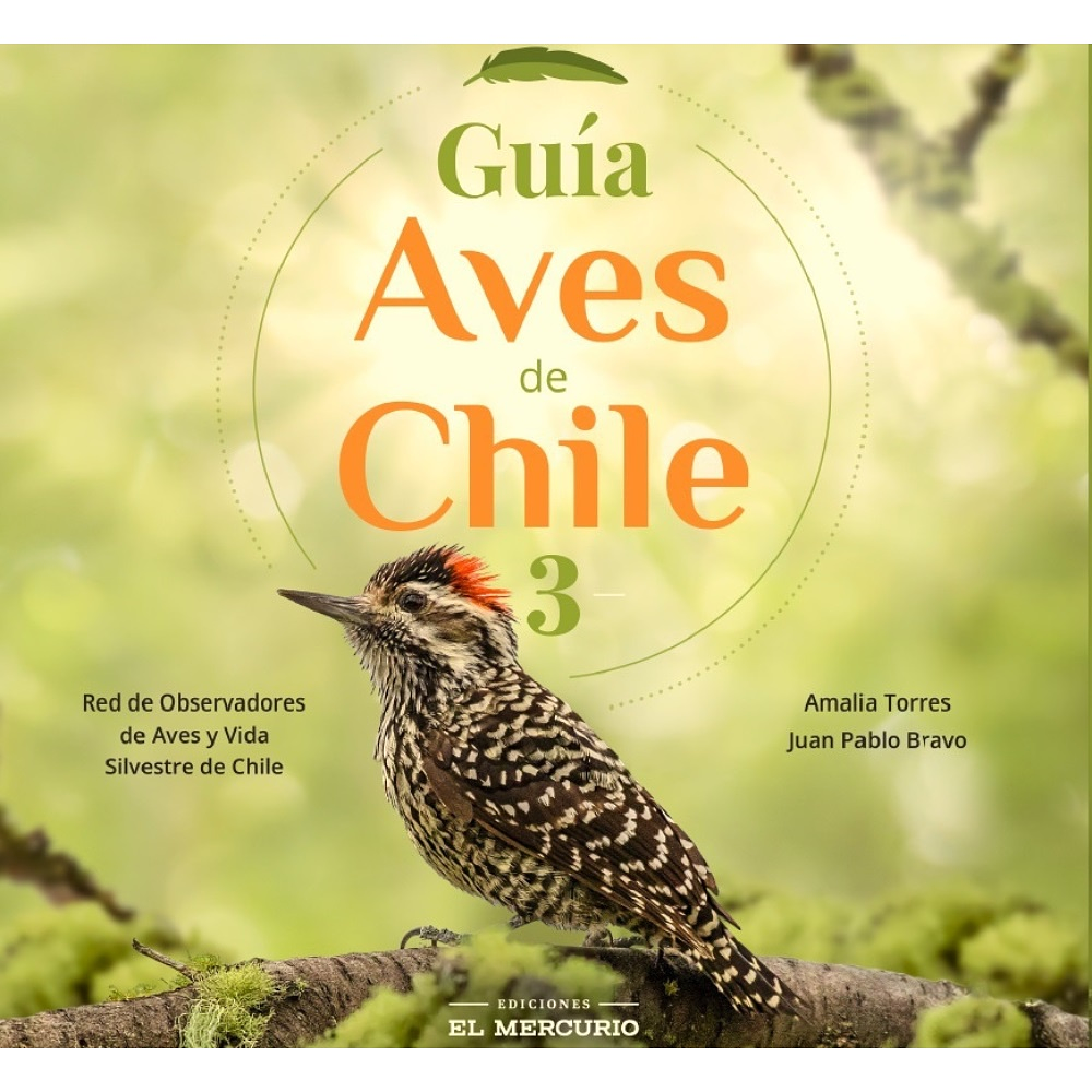 GUÍA AVES DE CHILE 3 (TAPA RÚSTICA) - RED DE OBSERVARORES DE AVES / AMALIA TORRES; JUAN PABLO BRAVO | LIBRO