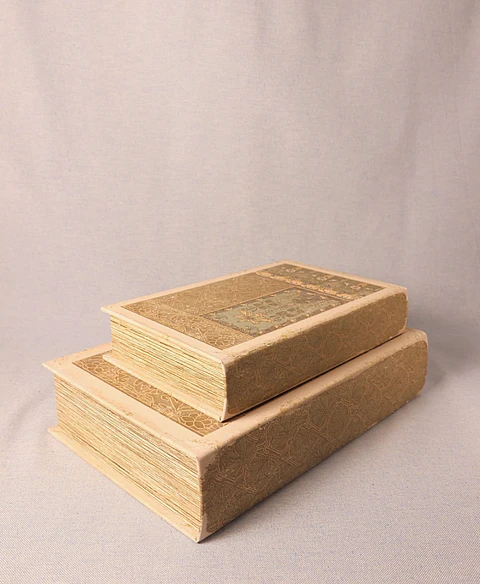 Conjunto de Caixas Decorativas em Forma de Livro (tons claros)