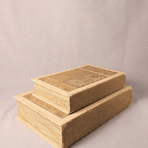 Conjunto de Caixas Decorativas em Forma de Livro (tons claros)