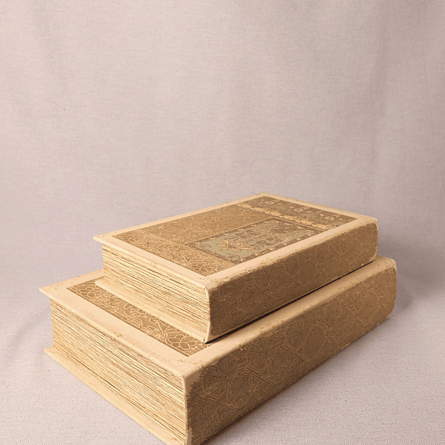 Conjunto de Caixas Decorativas em Forma de Livro (tons claros) 1