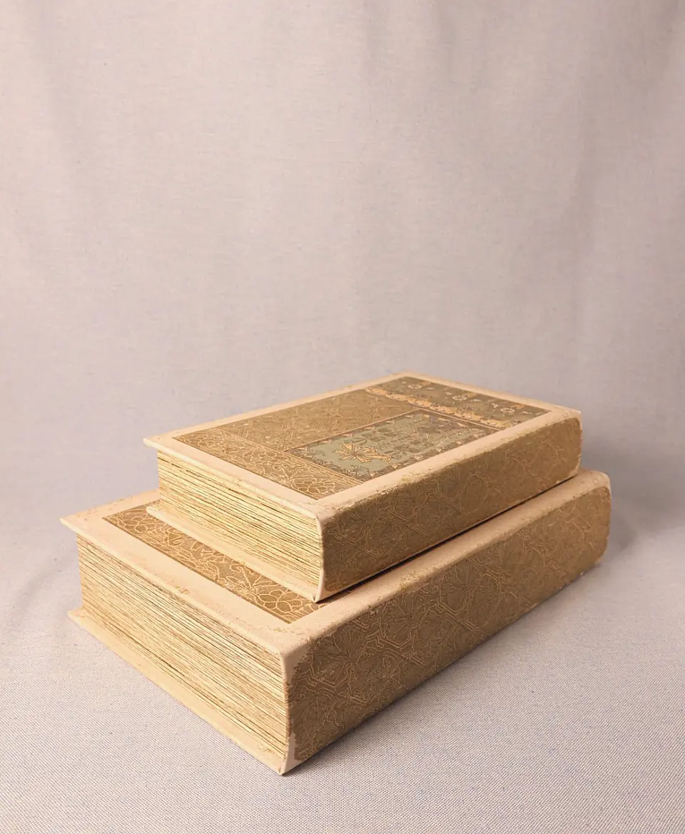 Conjunto de Caixas Decorativas em Forma de Livro (tons claros) 1