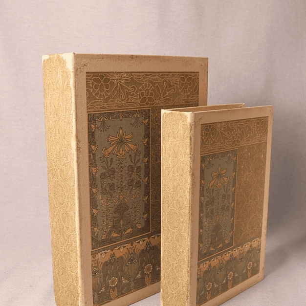 Conjunto de Caixas Decorativas em Forma de Livro (tons claros) 3