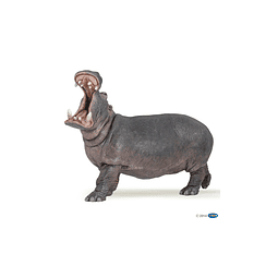  Papo Hippopotamus / Hipopotamo