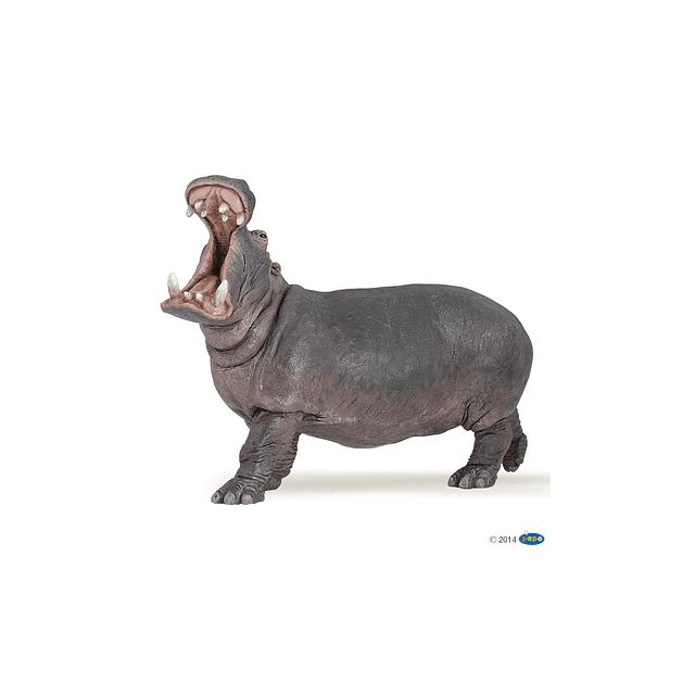  Papo Hippopotamus / Hipopotamo