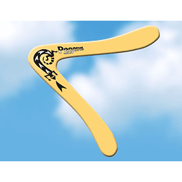  Pegasus Boomerang