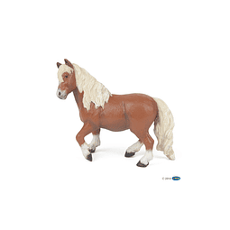 Animal Colección  Pony Shetland
