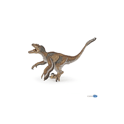 Animal Colección  Dinosaurio Velocicraptor Con Plumas
